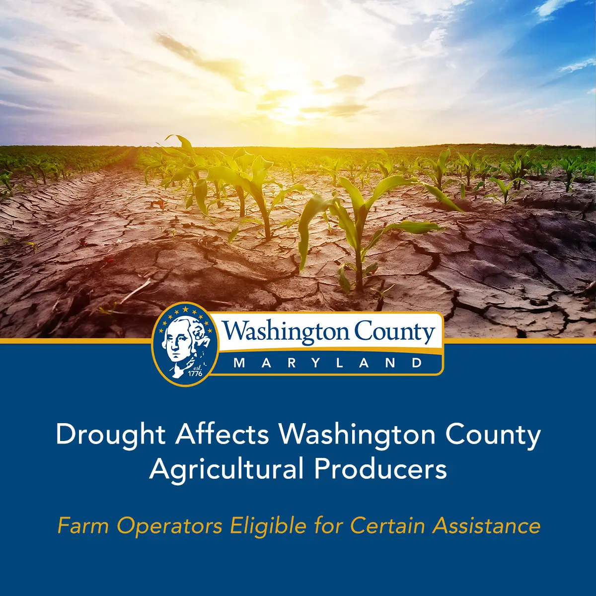 Drought Affects Washington County Agricultural Producers Washington County 3469